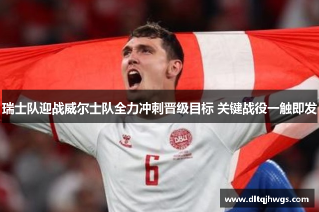 瑞士队迎战威尔士队全力冲刺晋级目标 关键战役一触即发