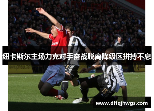纽卡斯尔主场力克对手奋战脱离降级区拼搏不息