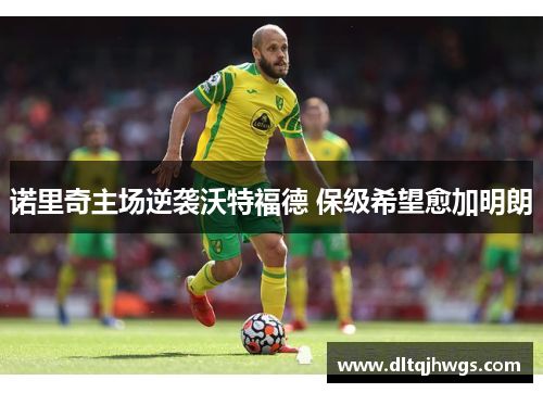 诺里奇主场逆袭沃特福德 保级希望愈加明朗