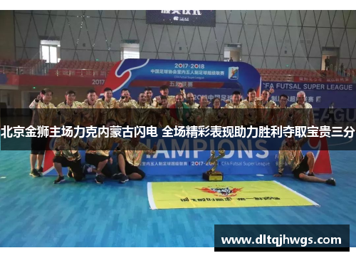 北京金狮主场力克内蒙古闪电 全场精彩表现助力胜利夺取宝贵三分