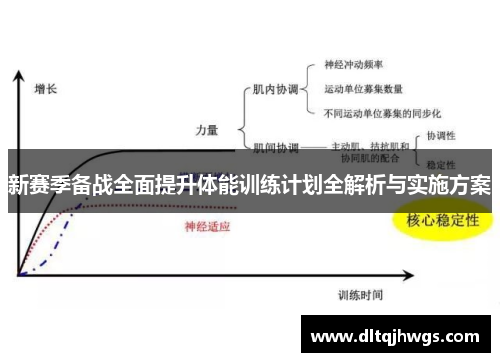新赛季备战全面提升体能训练计划全解析与实施方案