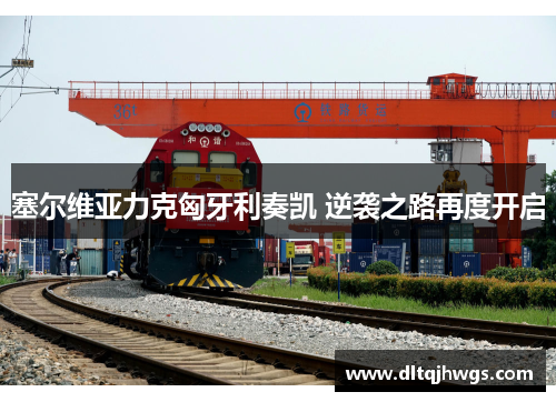 塞尔维亚力克匈牙利奏凯 逆袭之路再度开启