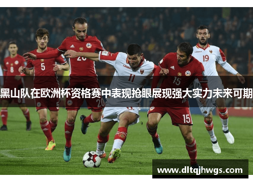 黑山队在欧洲杯资格赛中表现抢眼展现强大实力未来可期