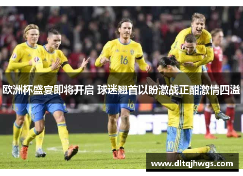 欧洲杯盛宴即将开启 球迷翘首以盼激战正酣激情四溢