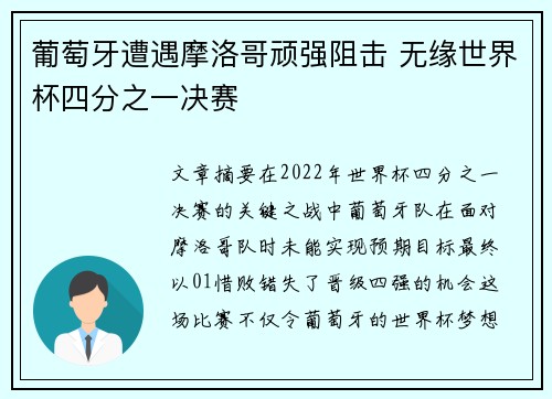 葡萄牙遭遇摩洛哥顽强阻击 无缘世界杯四分之一决赛
