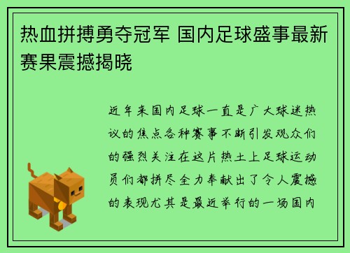 热血拼搏勇夺冠军 国内足球盛事最新赛果震撼揭晓