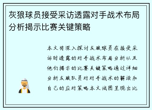 灰狼球员接受采访透露对手战术布局分析揭示比赛关键策略